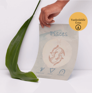 Balık Burcu - Pisces 1