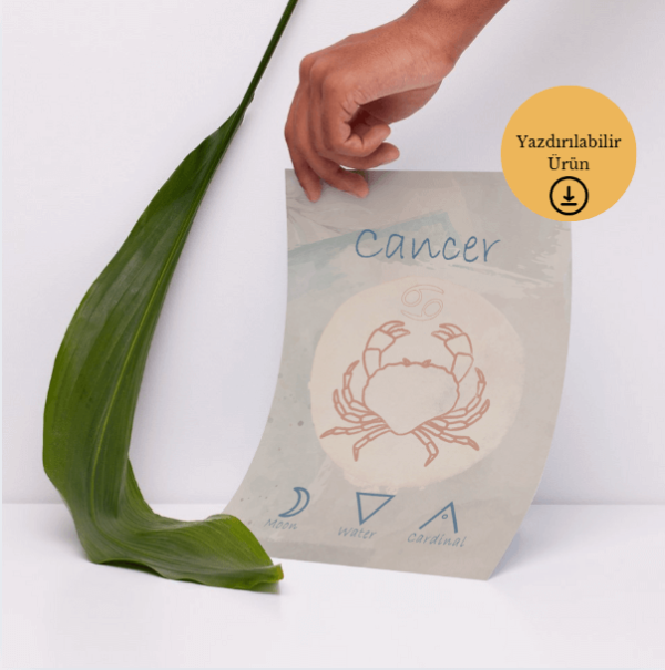 Yengeç Burcu - Cancer 2