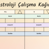 4 Element (Ateş, Toprak, Hava, Su) Astroloji Çalışma Kağıdı – A4 Yazdırılabilir (Dijital)