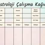 Astroloji Çalışma Kağıdı - Burç ve Ev Analizi - A4 Yazdırılabilir (Dijital) 3