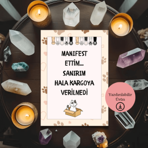 Manifest Ettim Hala Kargoya Verilmedi - Spiritüel Eğlenceli A4 Yazdırılabilir (Dijital) Poster 1