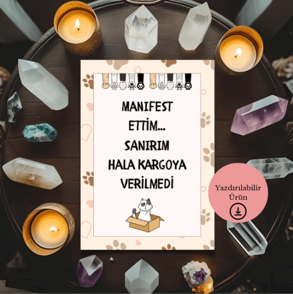 Manifest Ettim Hala Kargoya Verilmedi - Spiritüel Eğlenceli A4 Yazdırılabilir (Dijital) Poster 1