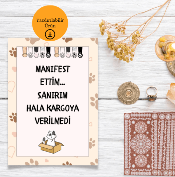 Manifest Ettim Hala Kargoya Verilmedi - Spiritüel Eğlenceli A4 Yazdırılabilir (Dijital) Poster 3